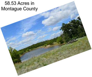 58.53 Acres in Montague County