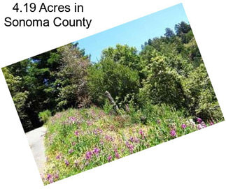 4.19 Acres in Sonoma County