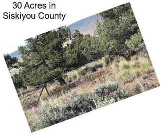 30 Acres in Siskiyou County