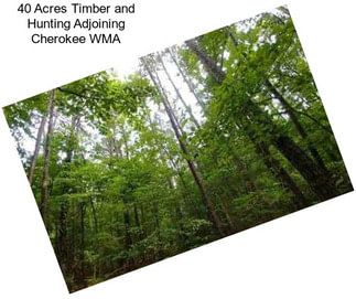 40 Acres Timber and Hunting Adjoining Cherokee WMA