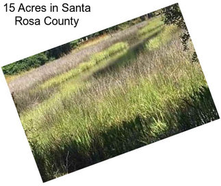15 Acres in Santa Rosa County