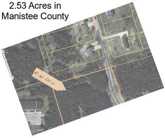 2.53 Acres in Manistee County
