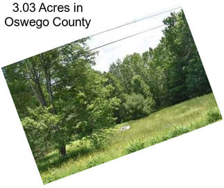 3.03 Acres in Oswego County