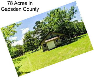 78 Acres in Gadsden County