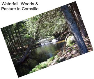 Waterfall, Woods & Pasture in Cornville