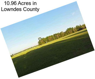 10.96 Acres in Lowndes County