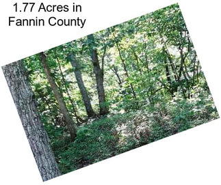 1.77 Acres in Fannin County