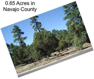 0.65 Acres in Navajo County