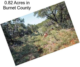 0.82 Acres in Burnet County