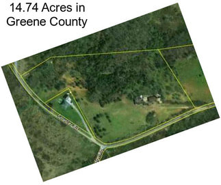 14.74 Acres in Greene County