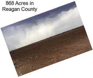 868 Acres in Reagan County