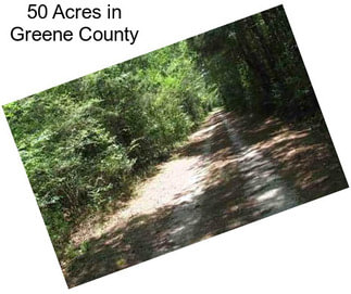 50 Acres in Greene County