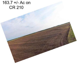 163.7 +/- Ac on CR 210