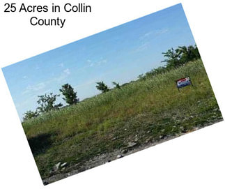 25 Acres in Collin County