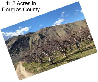 11.3 Acres in Douglas County