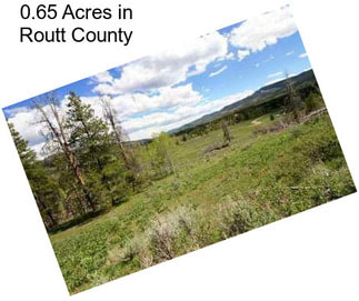 0.65 Acres in Routt County