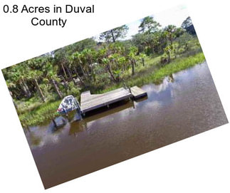 0.8 Acres in Duval County