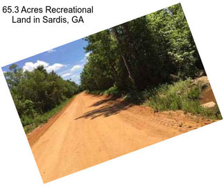 65.3 Acres Recreational Land in Sardis, GA