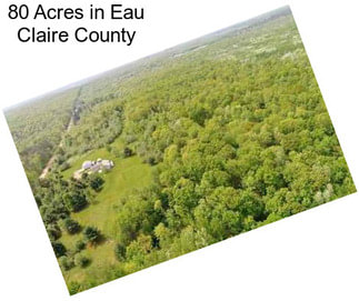 80 Acres in Eau Claire County