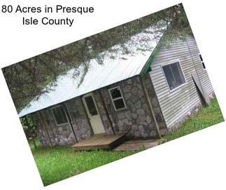 80 Acres in Presque Isle County