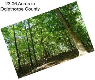23.06 Acres in Oglethorpe County