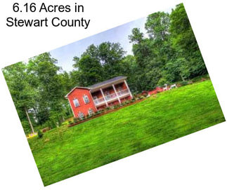 6.16 Acres in Stewart County