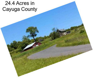 24.4 Acres in Cayuga County