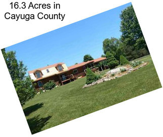 16.3 Acres in Cayuga County