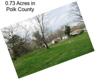 0.73 Acres in Polk County