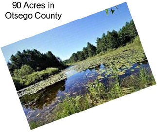 90 Acres in Otsego County