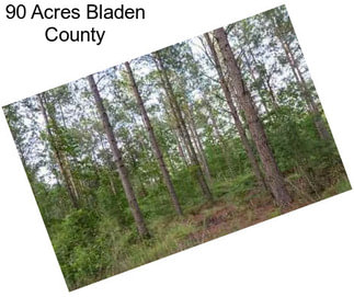 90 Acres Bladen County