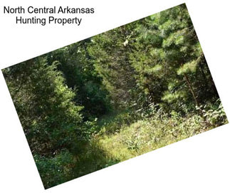 North Central Arkansas Hunting Property