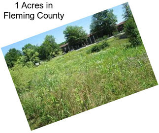 1 Acres in Fleming County