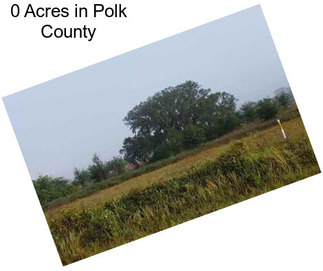 0 Acres in Polk County