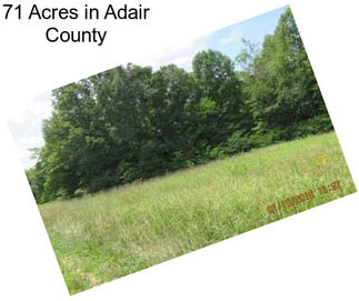 71 Acres in Adair County