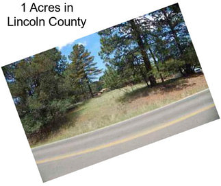 1 Acres in Lincoln County