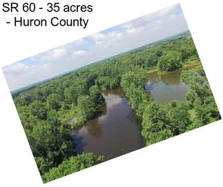 SR 60 - 35 acres - Huron County