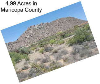 4.99 Acres in Maricopa County