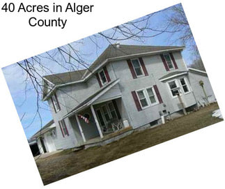 40 Acres in Alger County