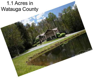 1.1 Acres in Watauga County