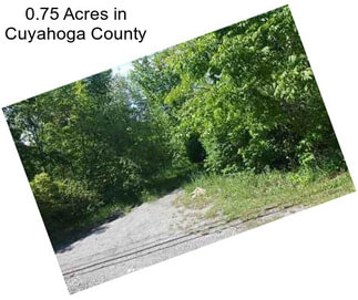 0.75 Acres in Cuyahoga County