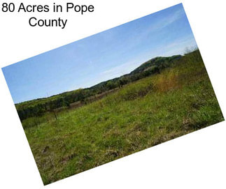 80 Acres in Pope County