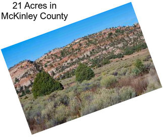 21 Acres in McKinley County