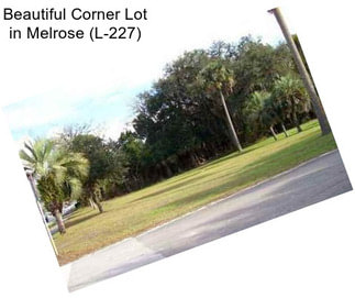 Beautiful Corner Lot in Melrose (L-227)