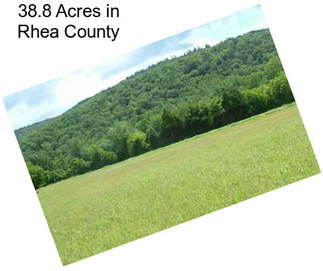 38.8 Acres in Rhea County