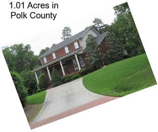 1.01 Acres in Polk County