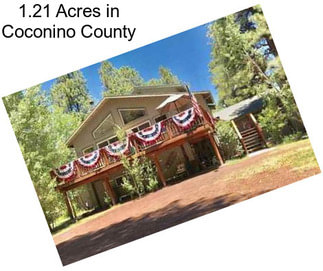 1.21 Acres in Coconino County
