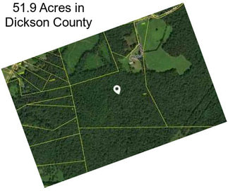 51.9 Acres in Dickson County