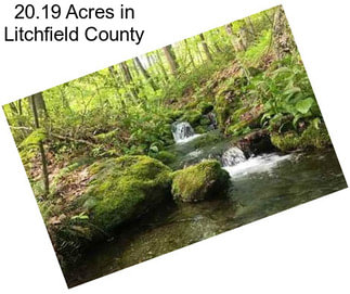 20.19 Acres in Litchfield County