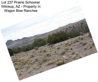 Lot 237 Prairie Schooner Wikieup, AZ - Property in Wagon Bow Ranches